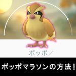 【ポッポマラソンの方法！】ポケモンGO 3日目！LV14～16(効率的なレベル上げテクニック)